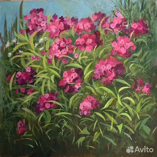Картина «флоксы»