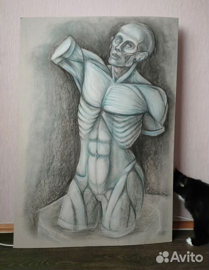 Репетитор по рисованию, Мурманск