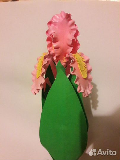 Ирис в горшке