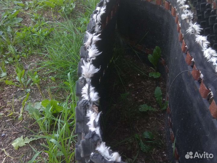 Гусеница буран