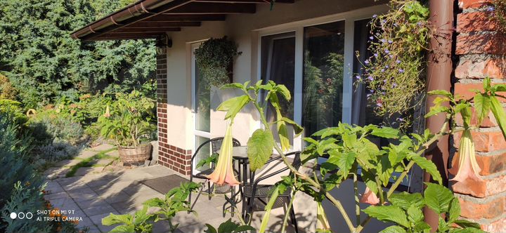 Квартира-студия, 20 м², 1/2 эт.