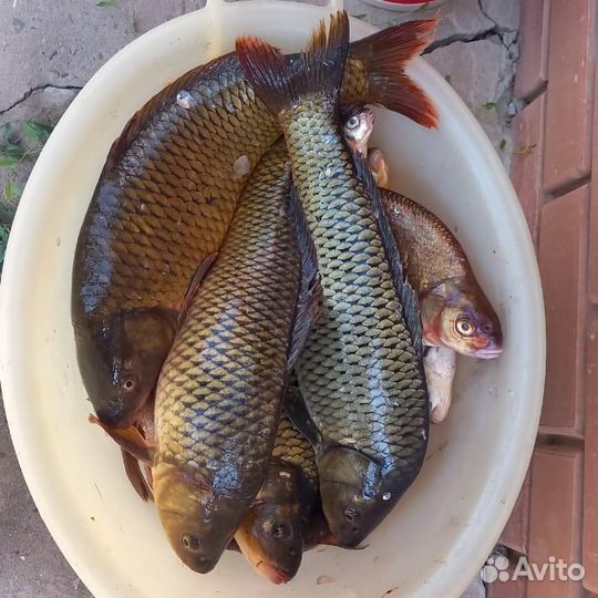 База отдыха и рыбалки