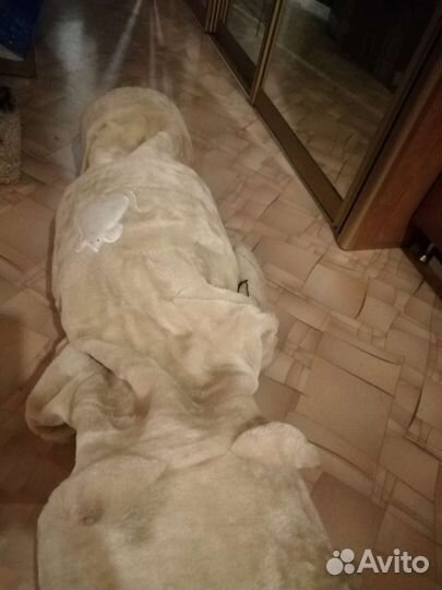 Домик для кошки