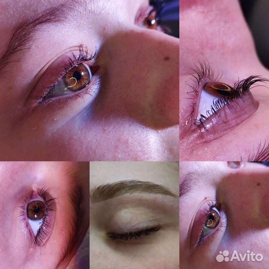 Мастер бровист