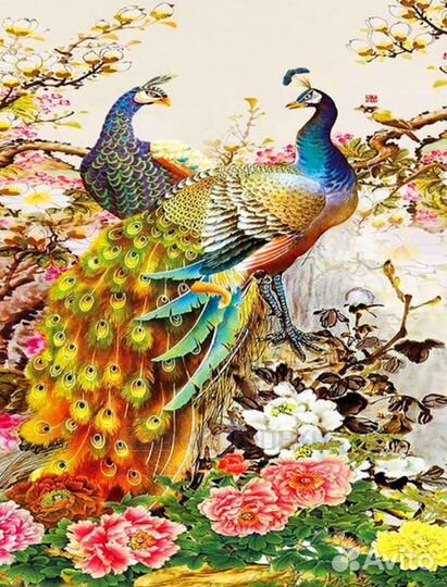 Алмазная мозаика 40x50 Два больших павлина среди ц