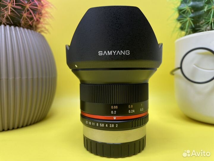 Samyang 12mm f/2.0 NCS CS Fujifilm X