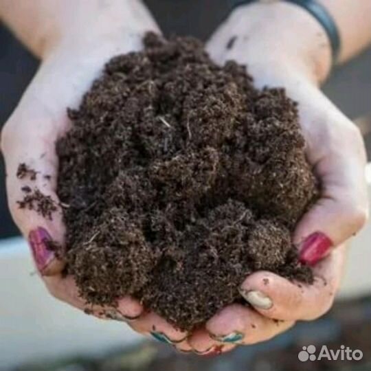 Чернозем, перегной, суглинок доставка