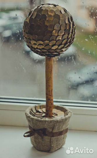 Топиарий денежное дерево