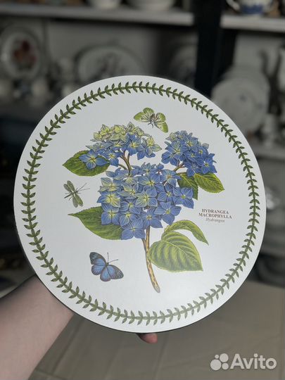 Плэйсматы portmeirion botanic garden