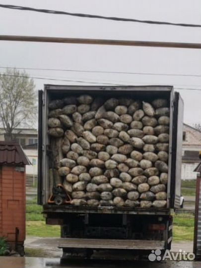 Органическое удобрение, блоки от вешенки