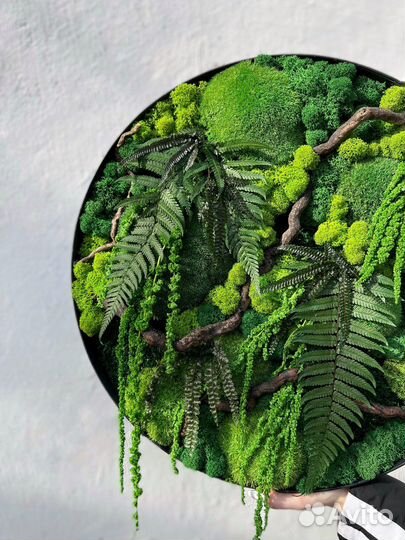 Панно 50 см из стабилизированного мха