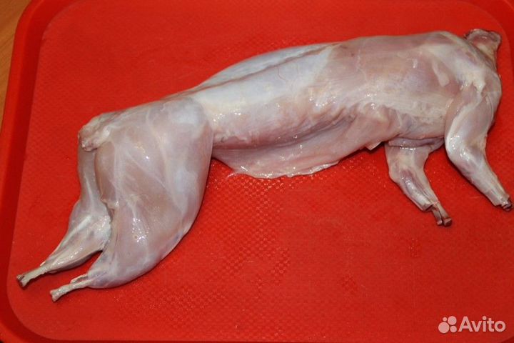 Продам мясо кролика