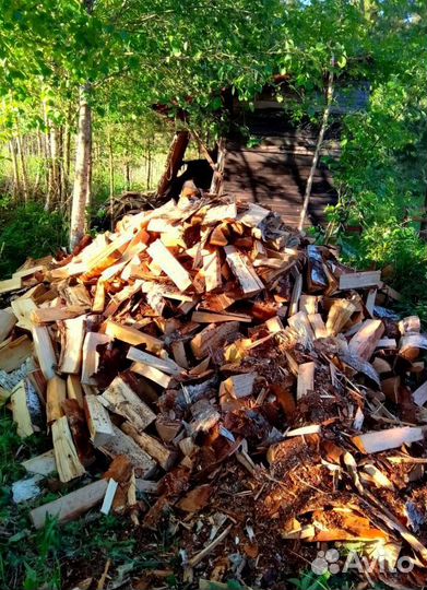 Дрова Осина навалом в Ленобласти любого объема