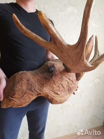 Рога лося