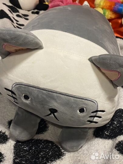 Pusheen cat