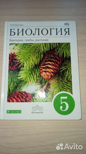 Райдер по английскому