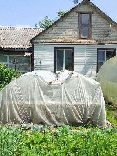 Дом 115 м² на участке 6,5 сот.