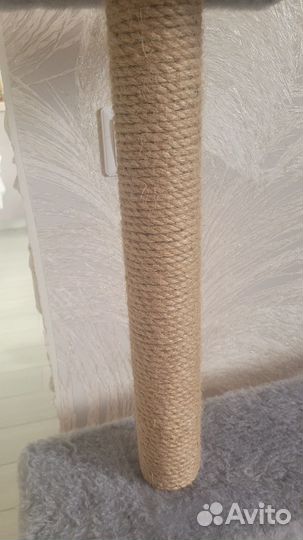 Когтеточка