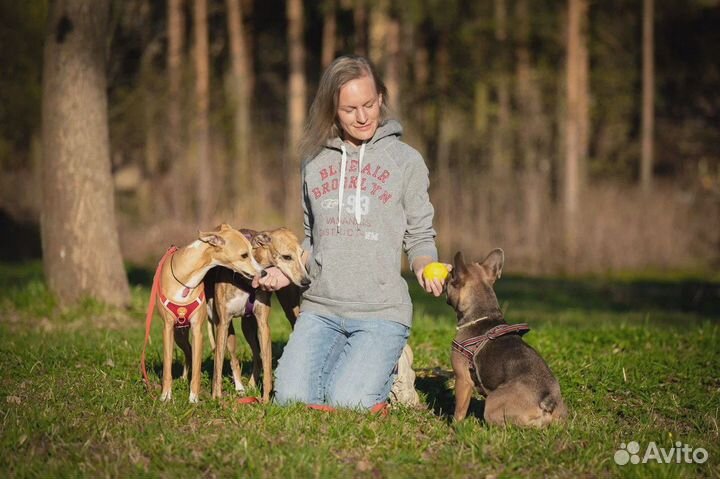 Кинолог с выездом в Спб