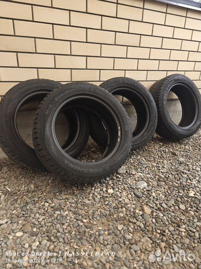 Белшина Бел-207 205/55 R16 91S