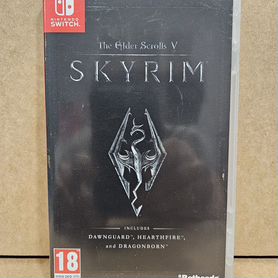 Skyrim nintendo switch