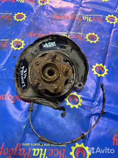 Кулак задний правый Nissan Qashqai J10