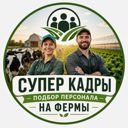Кировоградская обл., Знаменка