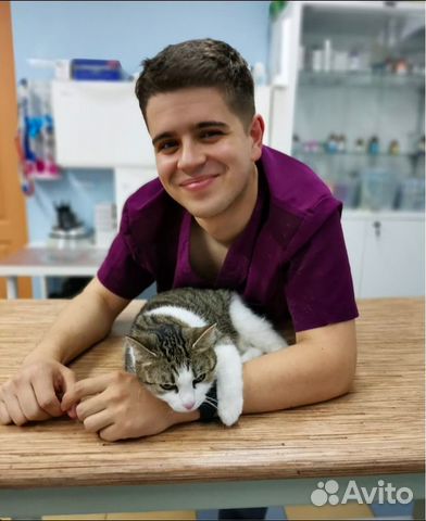 Ветеринарный врач на дом