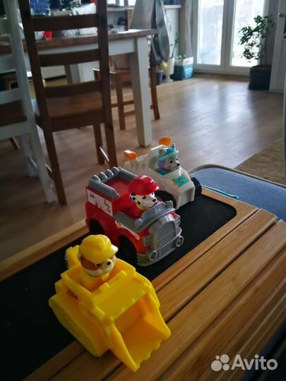 Крепыш Маршал Эверест