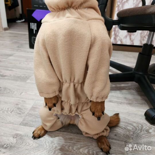 Пошив одежды для собак