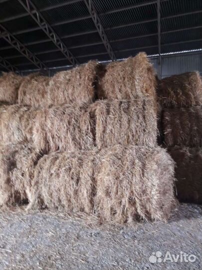 Продам сено в рулонах