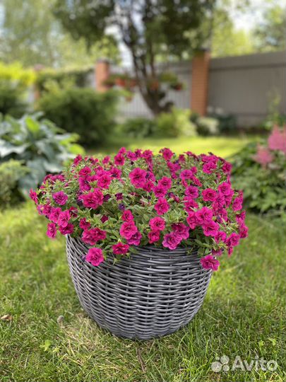 Цветочные Кашпо для летних террасс