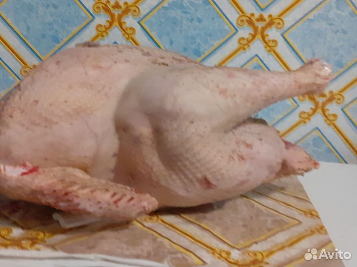 Индюк (мясо)