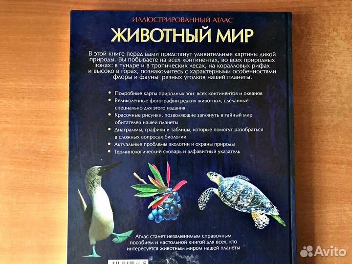 Атлас-книга 
