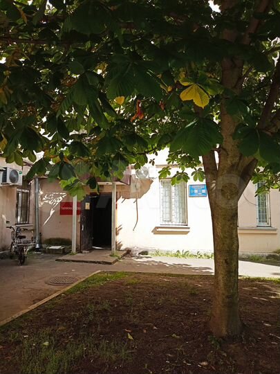 Свободного назначения, 50.5 м²