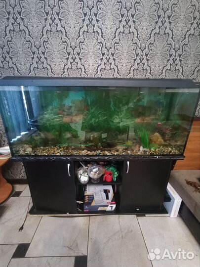 Аквариум с тумбой 450 литров с рыбками