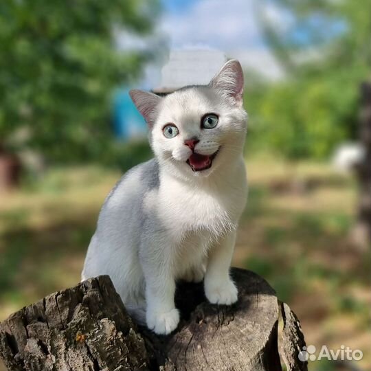 Малыш-улыбашка