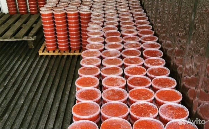 Красная икра 500г. Малосол. Кета