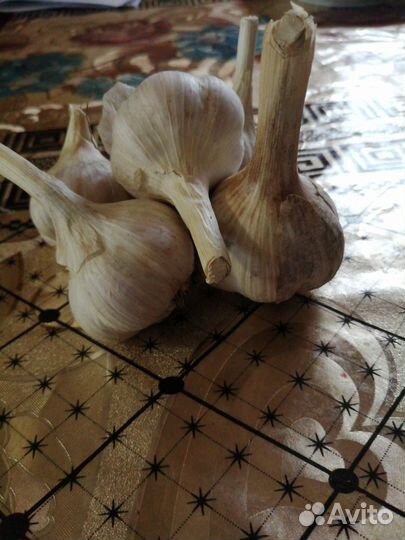 Чеснок