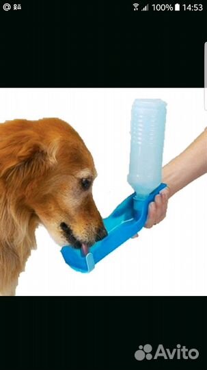 Дорожная поилка для собак