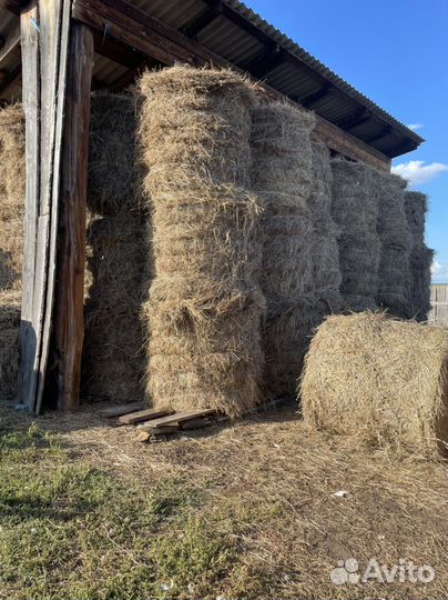 Сено в рулонах