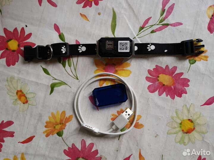 Gps ошейник