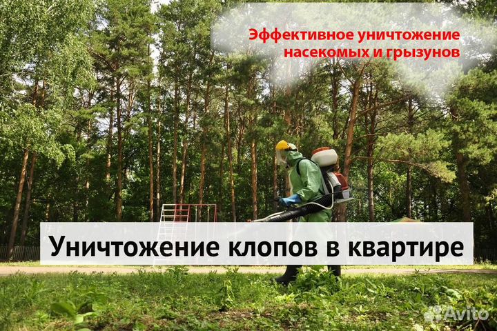 Уничтожение клопов тараканов грызунов грибка плесе