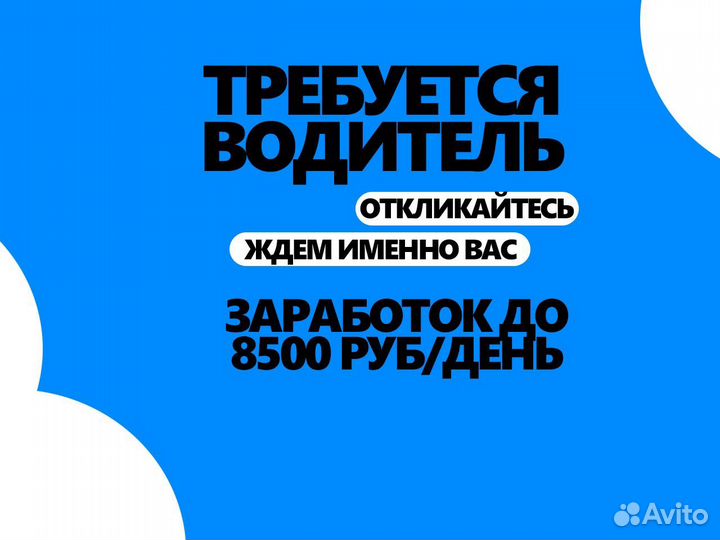 Требуется водитель. График свободный