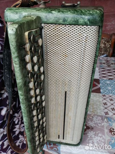 Баян тульский