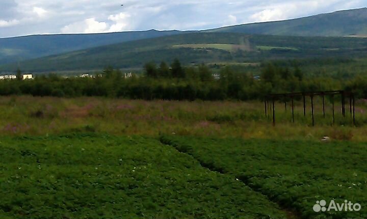 Огород в аренду