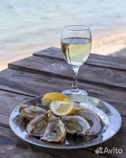 Устрица Хасанская