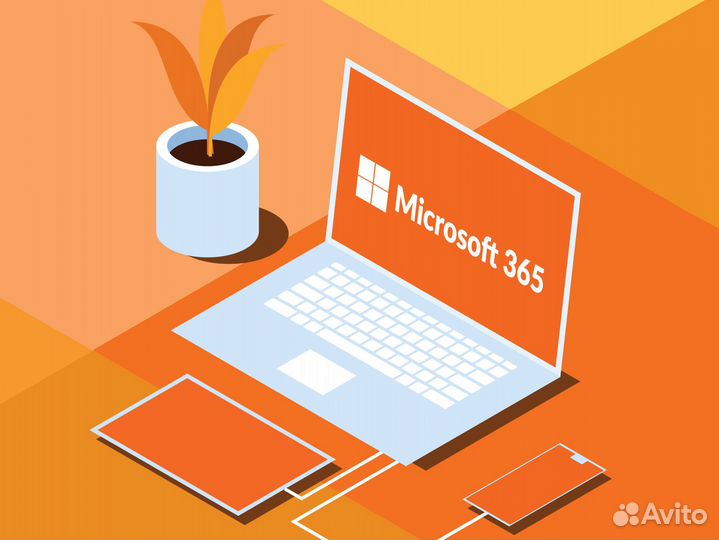 Microsoft office 365 
