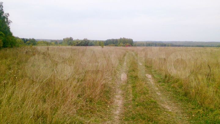Участок 6 га (СНТ, ДНП)