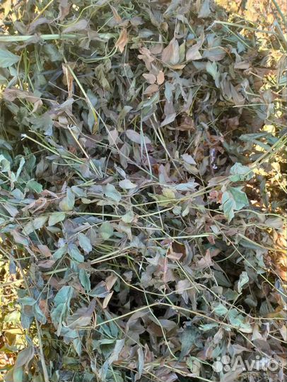 Корма для сельскохозяйственных животных